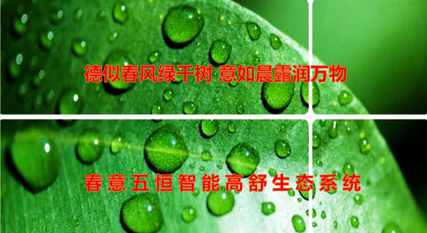 QQ截圖20190418190405.png